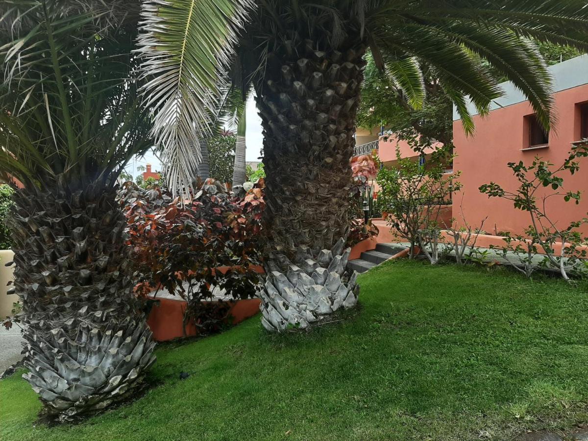 Aparthotel El Cerrito Playa Cancajos.- BreNa Baja  المظهر الخارجي الصورة
